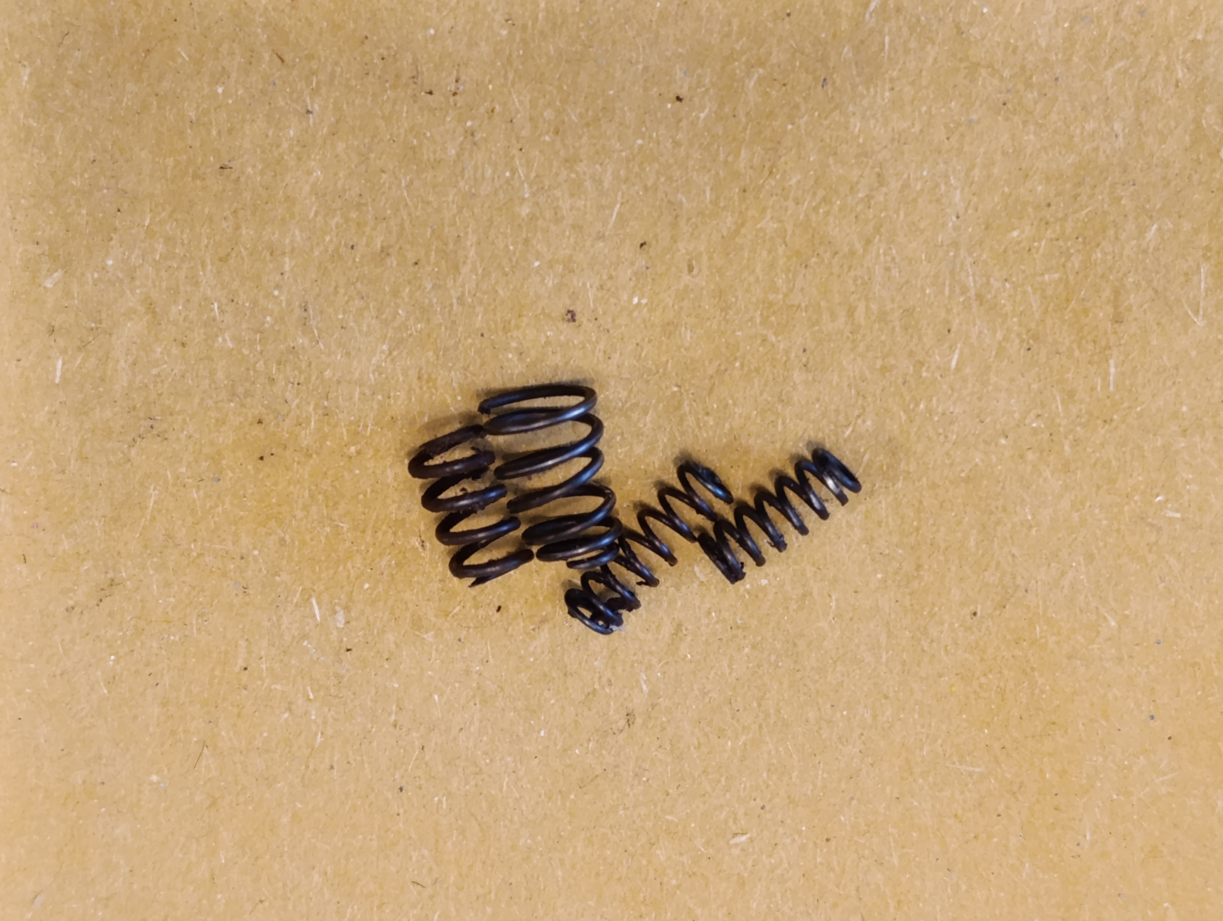 Federnkonvolut für Modell 4 (1)